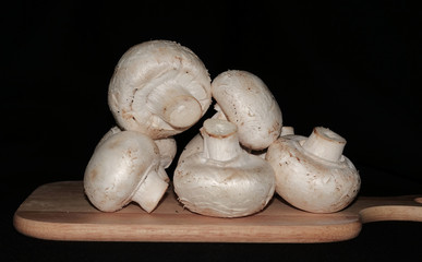 Large fresh champignon mushrooms on a wooden board. Black background