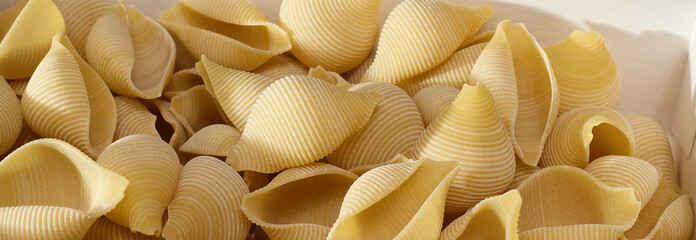 Pasta in the form of shells close-up. Culinary Background