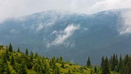 One of the last virgin forests in Europe are located in Romania. They are of a rare beauty, but the authorities don't do that much to protect them.