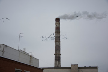 smoke from chimney