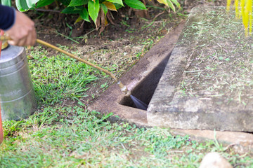 Treatment, Pest Control, Fumigation