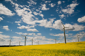 Ecological wind farm on a yellow rape field on a background of blue sky