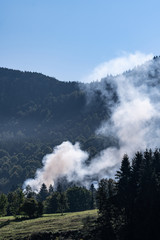 Rauchentwicklung im allgäuer Bergwald