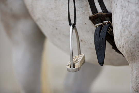 Harness and stirrup on a white horse.