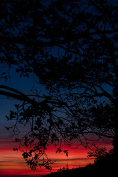 Beautiful and colorful sunset over the forest and river