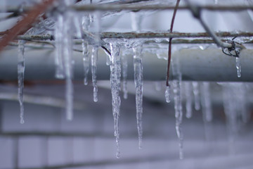 Close-up of Icicles