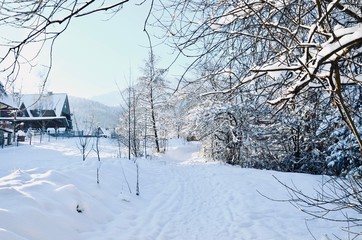 Winter mountain countryside