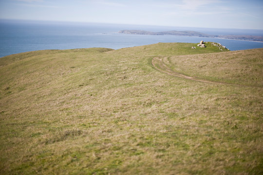 Grassy paddock along a coastline.