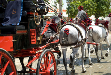 horses and carriages in the traditional festival of April in Seville, in Spain