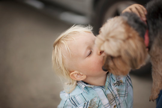 Young toddler reaching up to give a small dog a kiss.