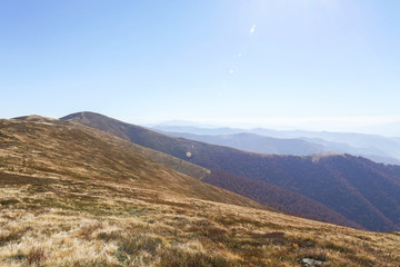 mountains, landscape, forest