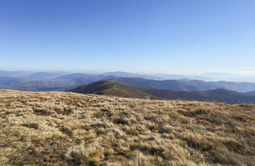 mountains, landscape, forest