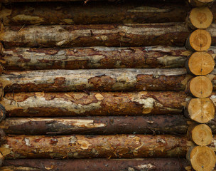 Fragment of wooden fortress from raw logs. Texture.
