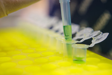 Experimento en laboratorio 