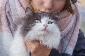 Cat in the arms of the girl