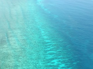 Fototapeta na wymiar Barrière de corail vue du ciel (Mayotte)