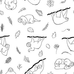 Fototapeta premium Vector seamless pattern with cute sloth