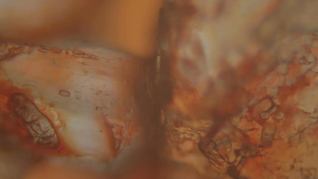 Colorful salt and sugar crystals under microscope. Rack focus. Shallow depth of field.