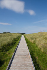 Ards forest park wooden path, Donegal, Ireland