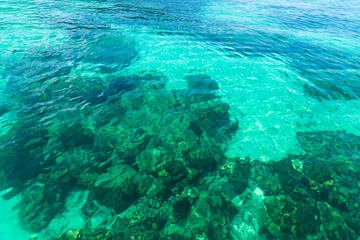 The clear water of the tropical sea shimmers under sunlight of emerald color.