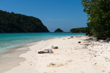 Golden white sand and blue water of a tropical beach.