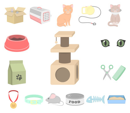 An animal cat cartoon icons in set collection for design. Caring for a cat vector symbol stock web illustration.