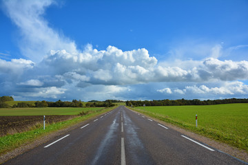 Fototapeta na wymiar Two-lane asphalt country road, leaving beyond the horizon. Landscape with view of non urban driveway, green ..field, trees and blue sky with white clouds. Autumn landscape on a sunny clear day.
