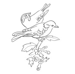 silhouette of birds sit on branch with flowers - vector couple