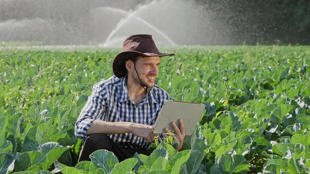 Farmer using digital tablet during monitoring his plantation