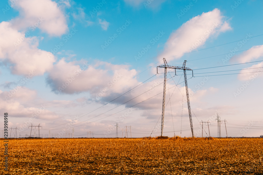 Wall mural electricity pylon