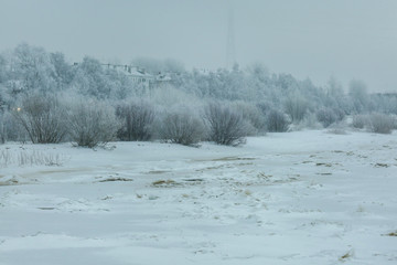 Russian winter. Arkhangelsk