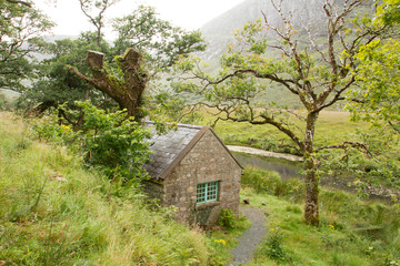 Old cottage into the wild in Ireland