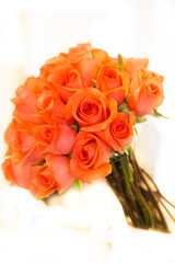 bouquet of pink roses on white background
