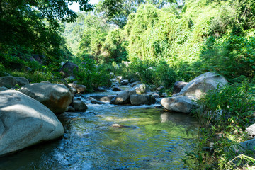 arroyo