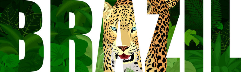 vector Brazil illustration with jaguar © Save Jungle