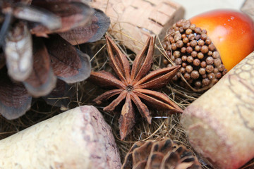 Close - up of anise star. Seasoning, fragrant spice. Spices for mulled wine. Christmas background.