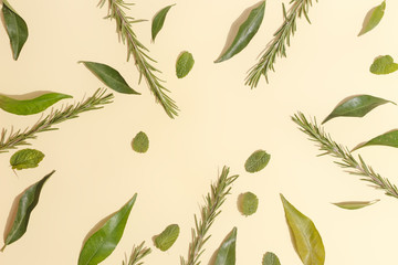 Mint leaves, mandarin and rosemary on a yellow background. Top view.