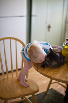 Young toddler standing on a chair and kissing a cat that is sitting on a table in the kitchen.