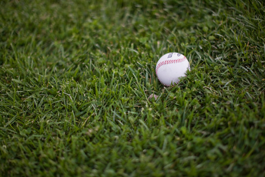 Single baseball lying on green glass.