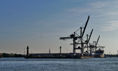 Fototapeta na wymiar Kräne im Hamburger Hafen