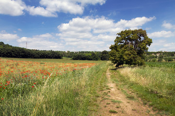 Panorami dei Colli Euganei, Veneto