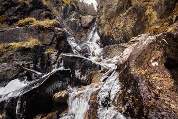mountain river,