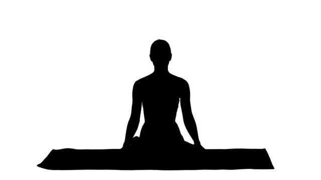 Silhouette Sporty attractive woman practicing yoga, sitting in Lotus exercise, Siddhasana pose breathing.
