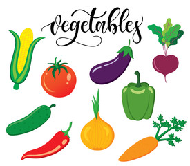Organic, fresh and natural vegetables icons and elements collection for food market, ecommerce, organic products promotion, healthy life, food and drink. Vector illustration.