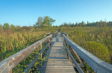 Fototapeta premium Wooden Walkway into a Wilderness Bog