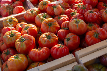 Vegetables of South France, farmers organic ripe tomatoes in assortment on local market in Provence