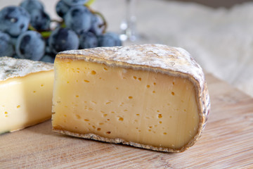 French hard cow or goat cheese Tomme or Tome, produced in French Alps
