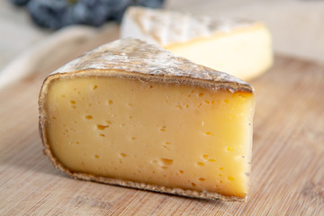 French hard cow or goat cheese Tomme or Tome, produced in French Alps