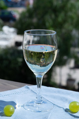 White wine of Provence, France, served cold with soft goat cheese on outdoor terrace in wine glass