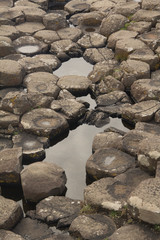 Rock formation in Giant Causeway, Northern Ireland UK